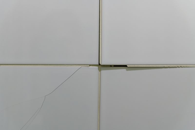 Exterior Tile Repair