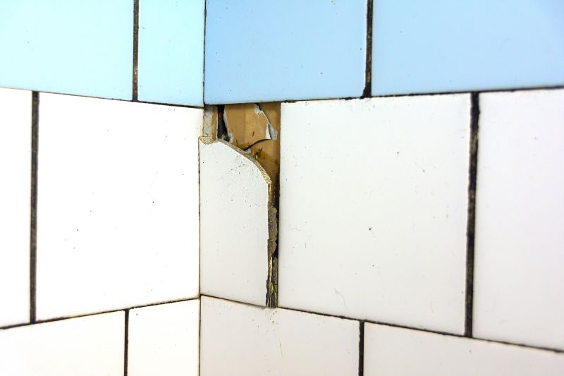 Exterior Tile Repair